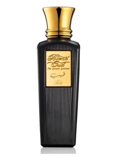 Teeb Blend Oud for Men EDP